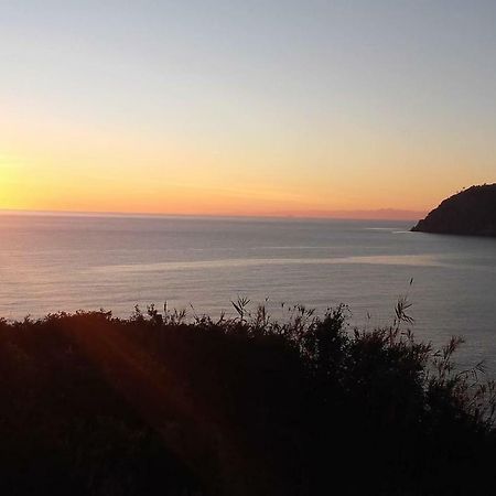 Un Gioiello Con Vista Mare Villa Moneglia Eksteriør bilde