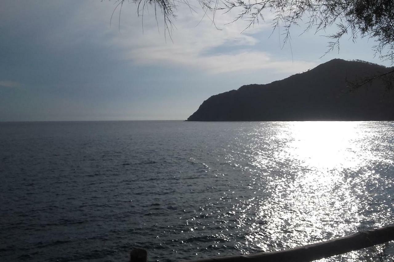 Un Gioiello Con Vista Mare Villa Moneglia Eksteriør bilde