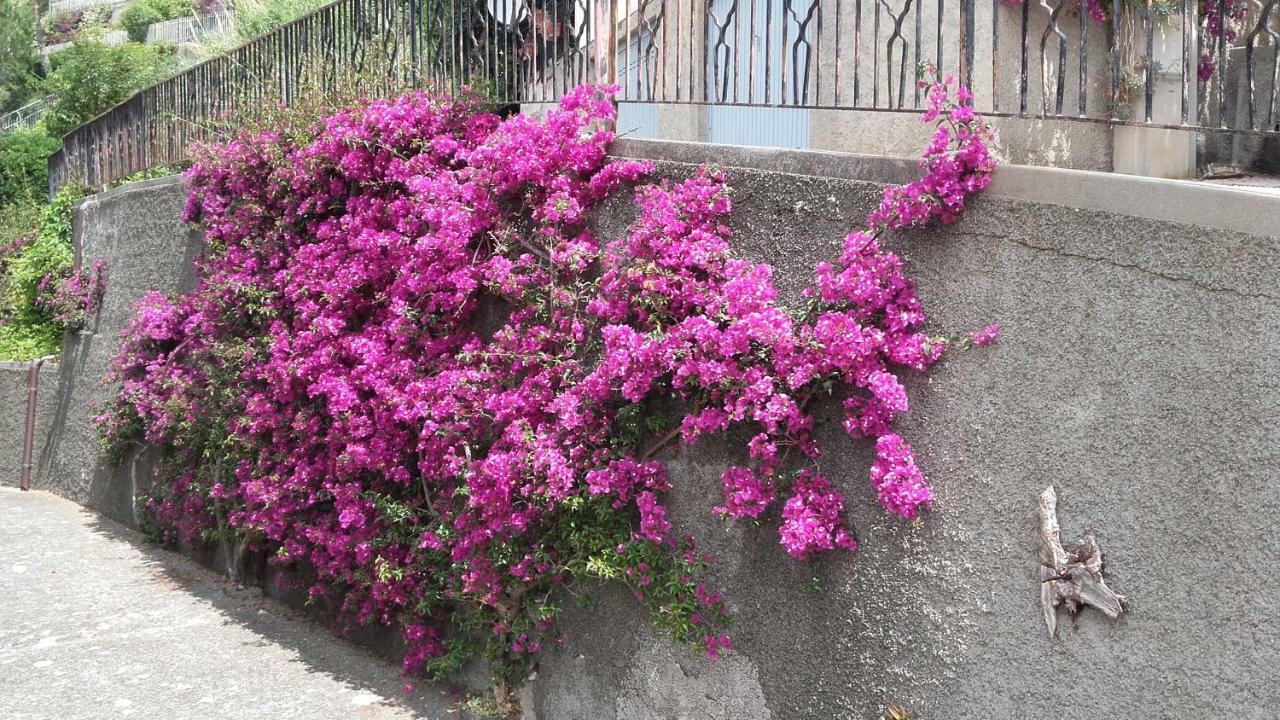 Un Gioiello Con Vista Mare Villa Moneglia Eksteriør bilde